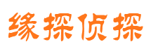 武江市私家侦探